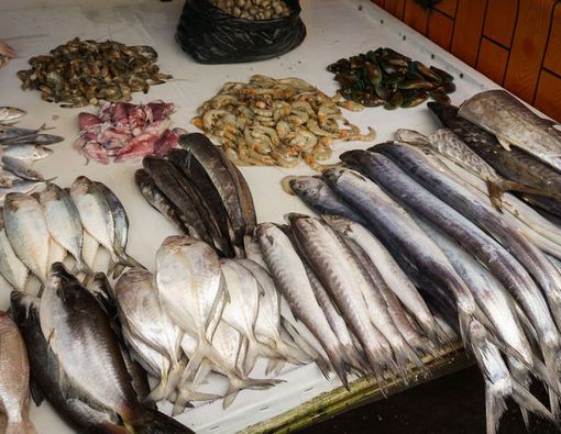 Menikmati Manfaat Ikan Laut Dalam