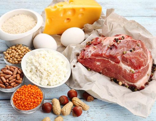 Mengapa Protein Sangat Penting bagi Tubuh?