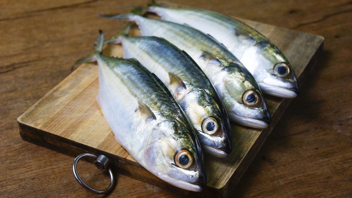 Ikan Kembung, Sumber Omega-3 yang Tak Kalah dari Salmon