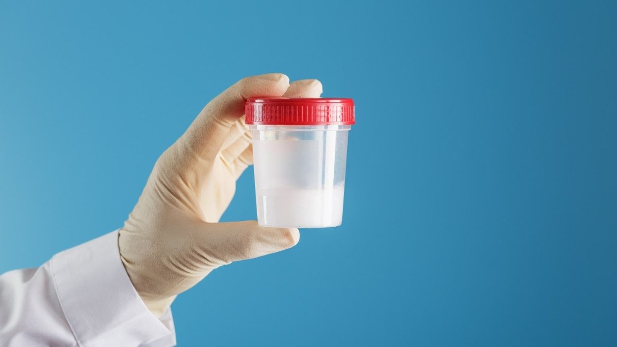 Manfaat Sperma bagi Wanita, Apakah Benar Adanya?