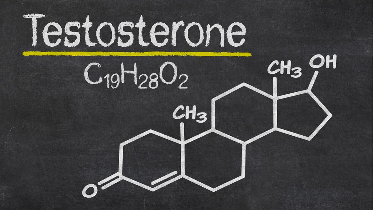 Ini Cara Meningkatkan Testosteron Secara Alami