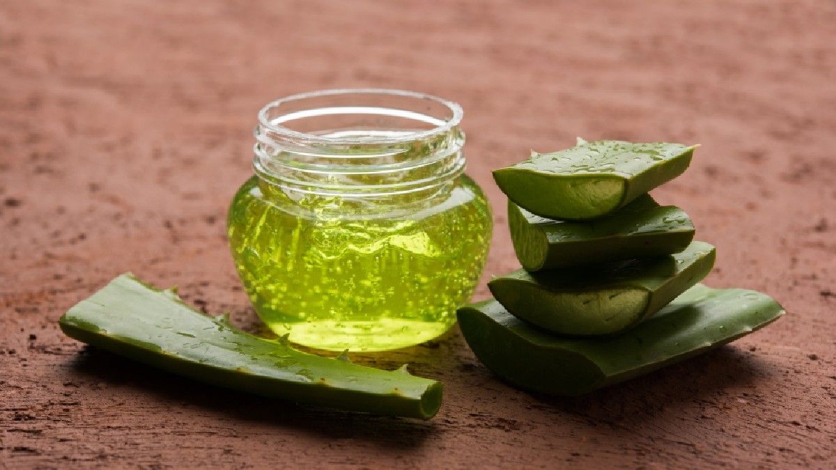 Cara Tepat Menyajikan Lidah Buaya untuk MPASI Bayi