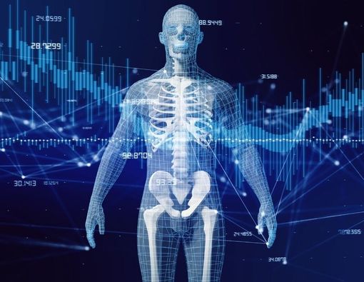 Manusia Bisa Tetap Hidup Tanpa Organ Tubuh Ini