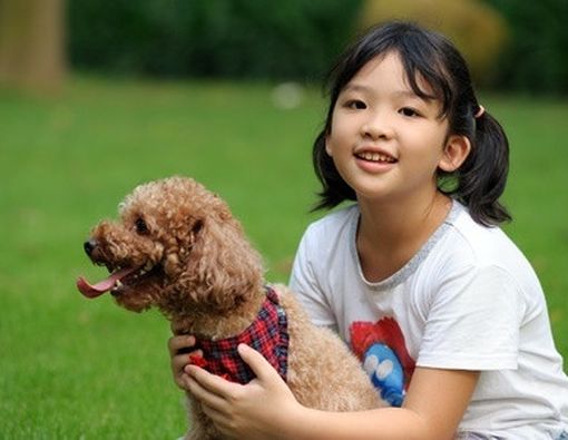 Amankah Binatang Peliharaan untuk Anak Saya?