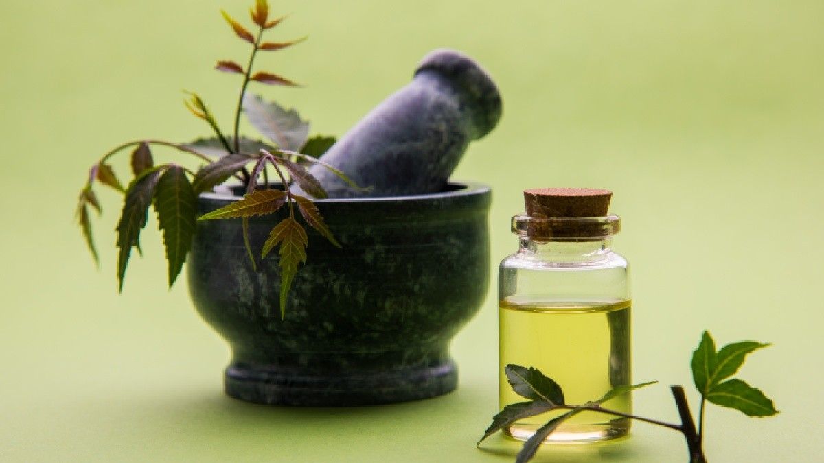 Menilik Manfaat Minyak Daun Neem untuk Kulit