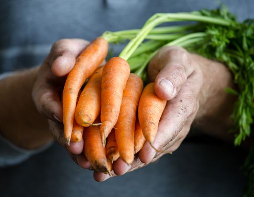 Begini Cara Kuman Menempel di Tubuh Anda
