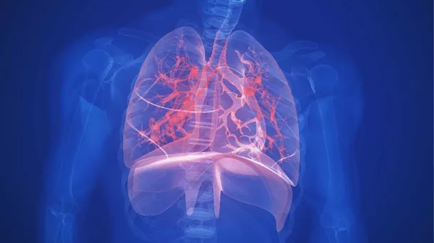 Kabar Baik, Temuan Mirip Sel Punca atau Stem Cell di Paru