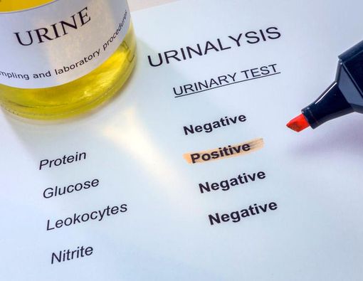 Ini, Loh, Asal Muasal Urine