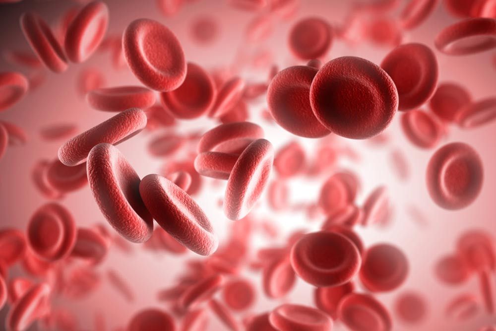 5 Fakta Thalassemia yang Perlu Anda Tahu