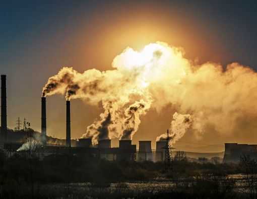 Lawan Efek Buruk Polusi Udara dengan Makanan Ini