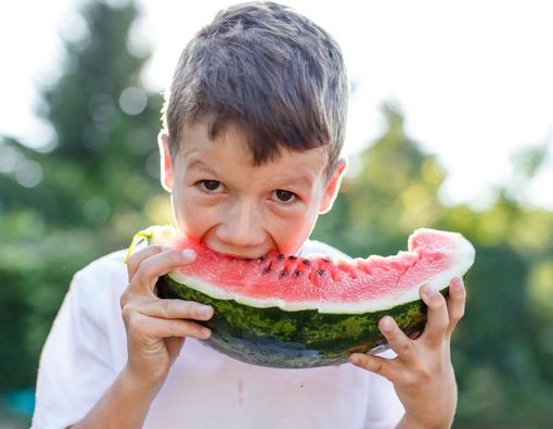 Benarkah Telan Biji Buah Sebabkan Usus Buntu?
