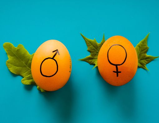 Hati-hati Jujur soal Pengalaman Seks Masa Lalu, Ini Alasannya