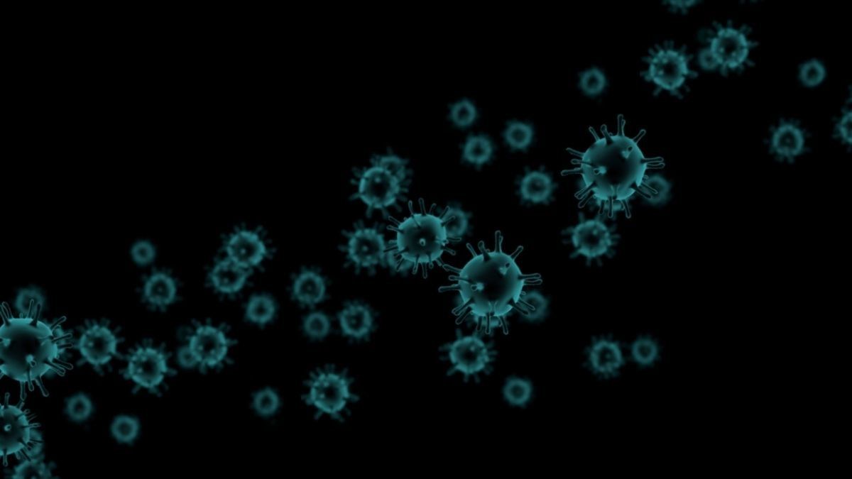 Ditemukan di Pasien COVID-19 India, Ini Bahaya Infeksi Jamur Hitam