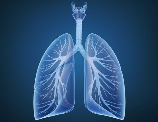 Tingkatkan Kapasitas Paru Anda dengan Latihan Ini