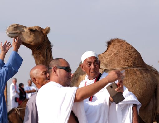 Waspadai Cara Penularan Flu Unta Saat Ibadah Haji