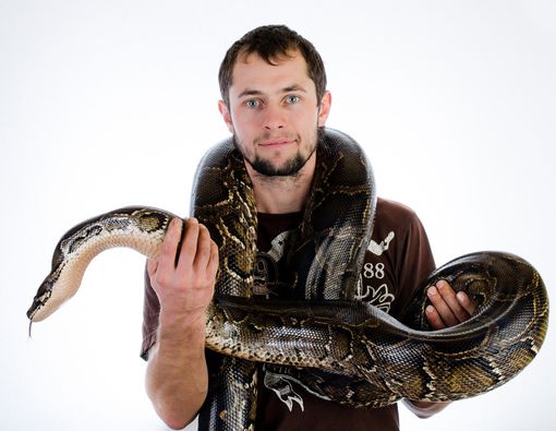 Benarkah Hobi Pelihara Reptil Rentan Tertular Penyakit?