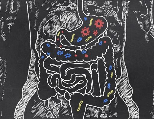 Manfaat Prebiotik dan Probiotik untuk Saluran Cerna Anak
