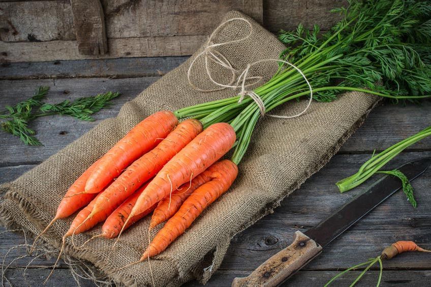 Wortel Bisa Sembuhkan Penyakit Mata, Mitos atau Fakta?