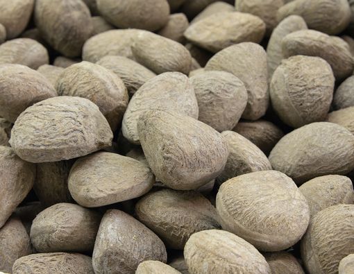 Manfaat Kluwek bagi Kesehatan yang Jarang Diketahui