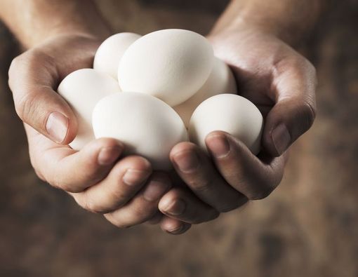 Batas Aman Konsumsi Telur dalam Sehari