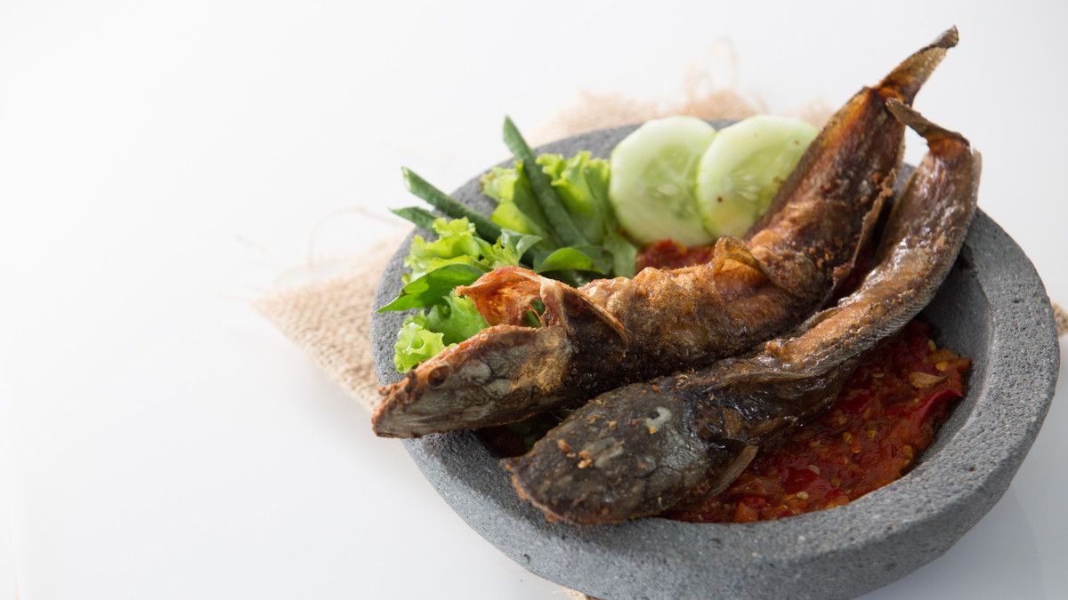 Manfaat Makan Ikan Lele untuk Ibu Hamil