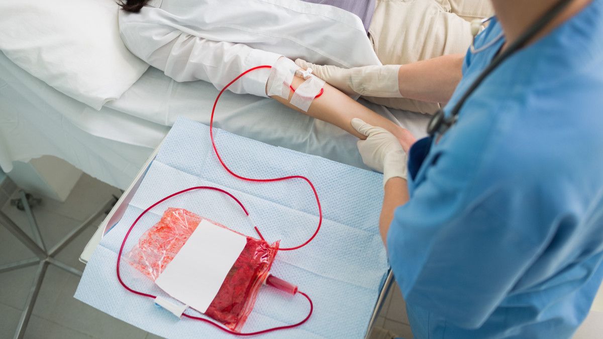 Tips Mencari Donor Darah yang Tepat
