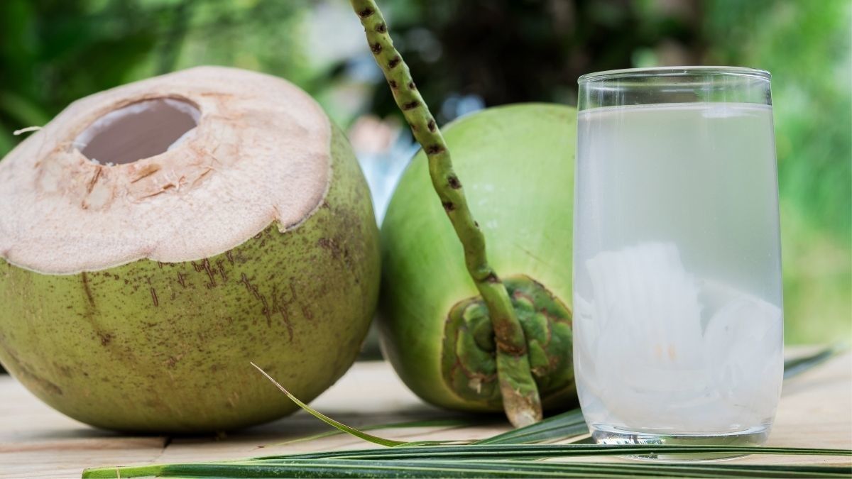 Manfaat Air Kelapa untuk Penderita Diabetes