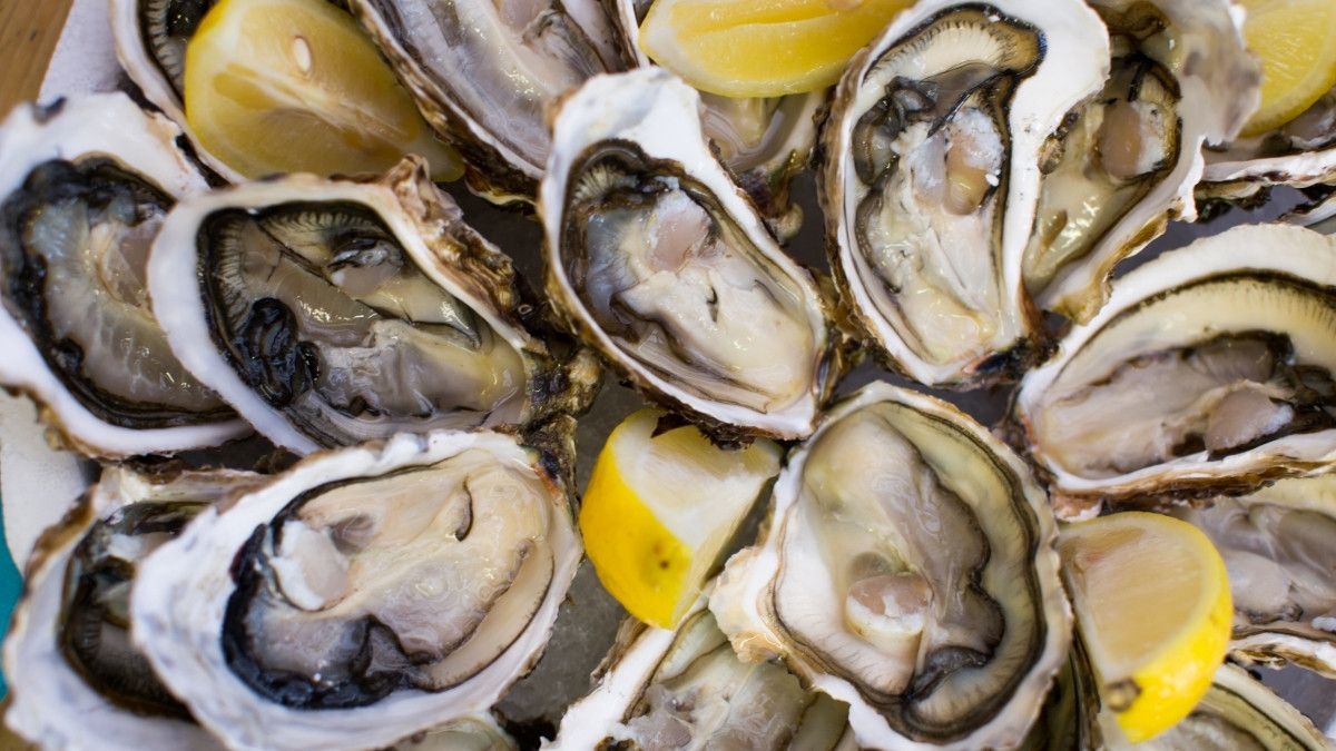 Benarkah Makan Fresh Oyster Berbahaya untuk Kesehatan? - KlikDokter