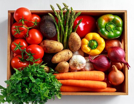 Mengenal Seluk-beluk Diet GM