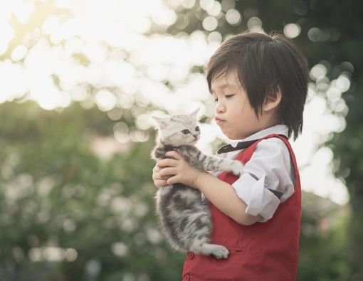 Kiat Menanamkan Rasa Cinta Hewan pada Anak