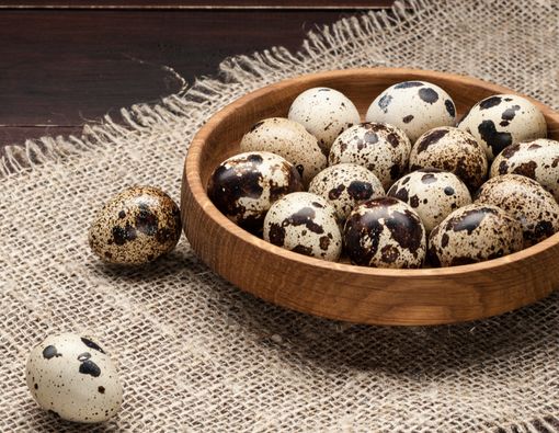 Amankah Memberi Anak di Bawah 1 Tahun Makan Telur Puyuh?