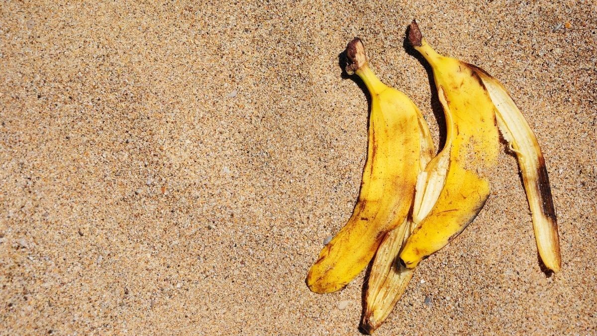 Manfaat Kulit Pisang untuk Mengatasi Jerawat, Efektifkah?