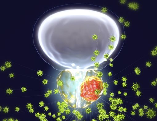 Ditemukan Hubungan Virus Dengan Kanker Prostat
