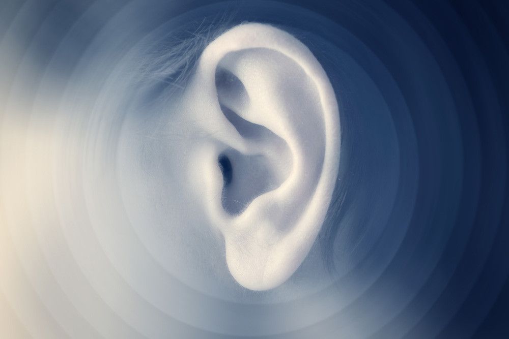 Bagaimana Efek Yanny or Laurel Memanipulasi Pendengaran?