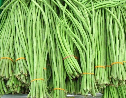 Mengenal Manfaat Kacang Panjang untuk Kesuburan