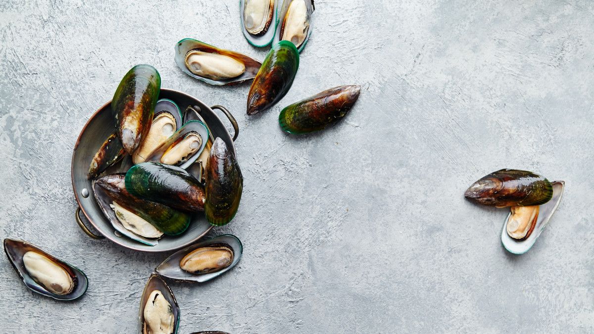 Ini Dia 12 Makanan Kaya Vitamin B-12
