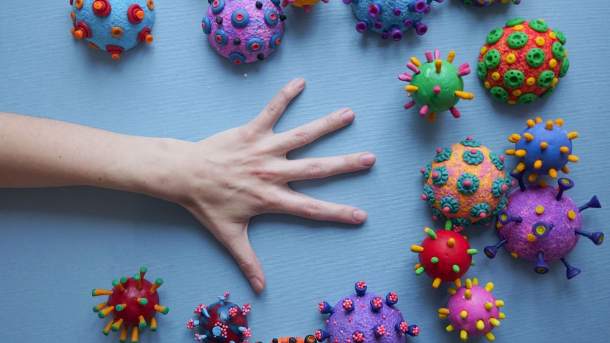 Kenali Virus Nipah, dari Gejala, Pengobatan, dan Pencegahannya