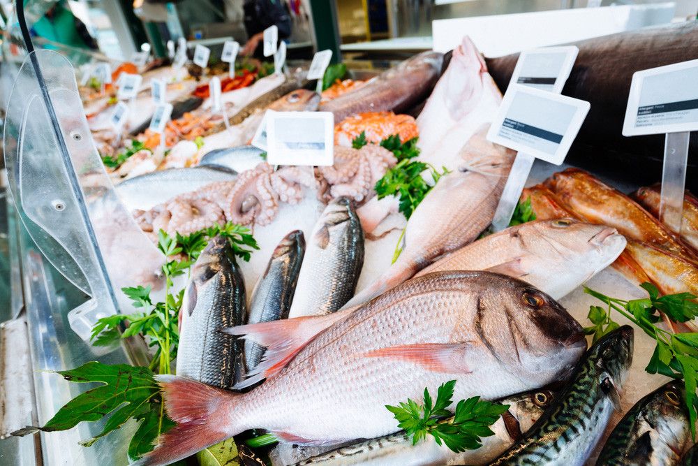 Pilihan Ikan Terbaik untuk Jantung Sehat