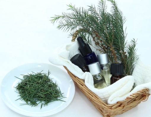 4 Obat Kudis Alami yang Bisa Kamu Coba di Rumah