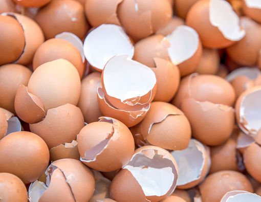 Benarkah Kulit Telur Bisa Menyembuhkan Patah Tulang?