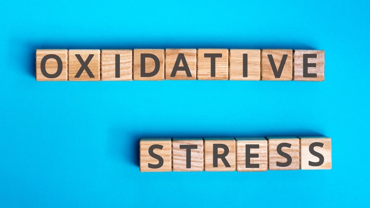 Cara Menghindari Stres Oksidatif Karena Olahraga