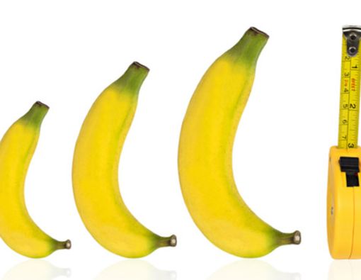 Pengaruh Ukuran Penis dan Performa Seksual