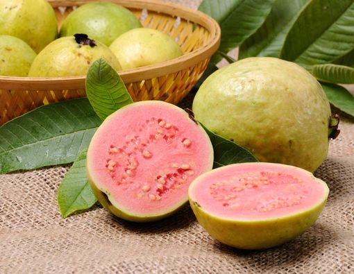 Benarkah Jambu Biji Efektif Atasi Diare?