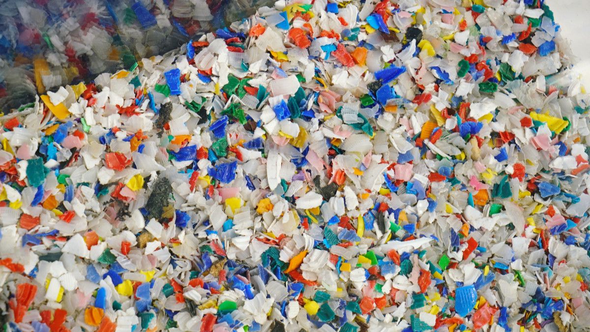 Fakta tentang Bahaya Mikroplastik yang Perlu Anda Tahu