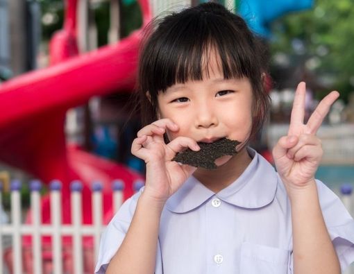 Manfaat Rumput Laut bagi Kesehatan si Kecil