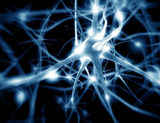 Trans bekasi porno tomosha