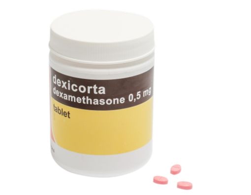 Dexicorta