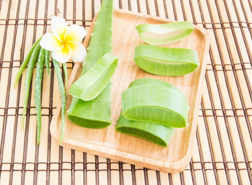 Lidah Buaya dapat Melebatkan Rambut, Mitos atau Fakta?
