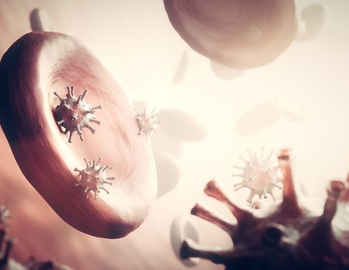 Fakta Soal Hiperendemi yang Perlu Diketahui