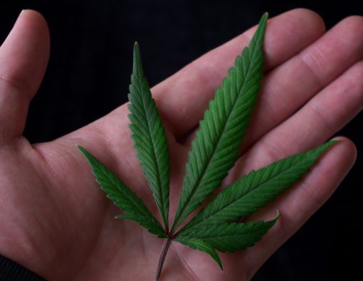 Benarkah Ganja Efektif untuk Pengobatan Anak dengan Autisme?